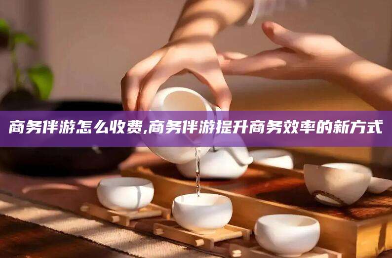 临沂商务伴游怎么收费,商务伴游提升商务效率的新方式
